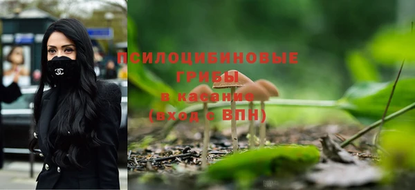первитин Белоозёрский