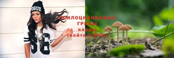 Альфа ПВП Белокуриха
