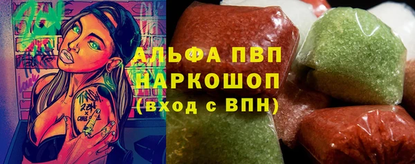 соль ск Сосновоборск