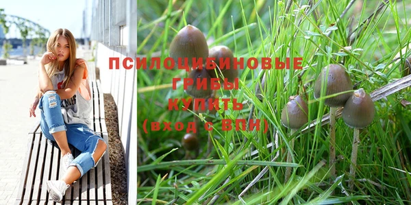 Альфа ПВП Белокуриха